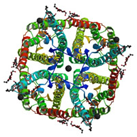 Aquaporin