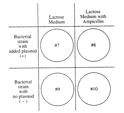 mc045-1.jpg