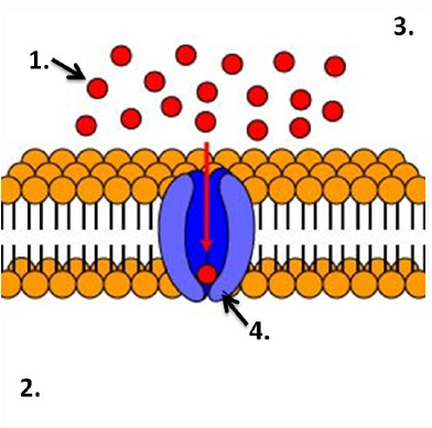 nar014-1.jpg